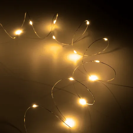 Sir de lumini LED pe fir, 50 mini LED-uri, alb cald