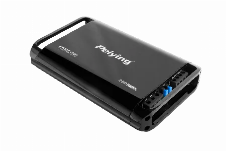 Amplificator auto Peiying Basic PY-B2C110R 2 canale