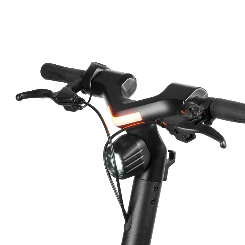 Trotineta electrica Rebel Fast Wheels Pro Max 350W