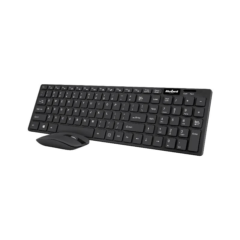 Kit Tastatura si Mouse Wireless  WS300 Rebel