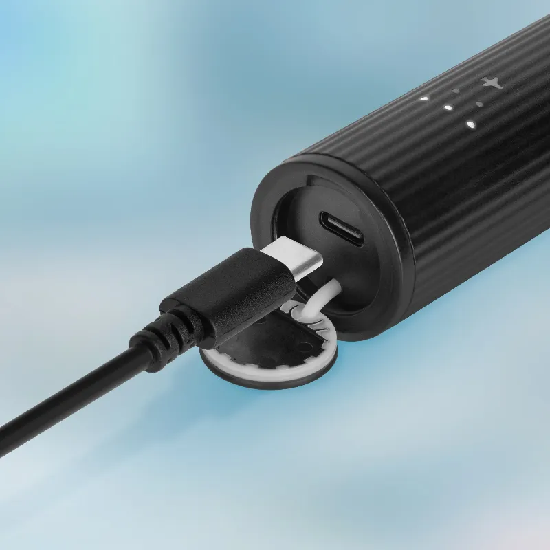 Periuta de Dinti Electrica Teesa Sonic Elite