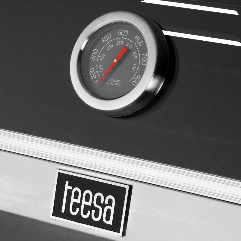 Grill Gaz 5 Arzatoare Bbq 5005 Master Grill Teesa