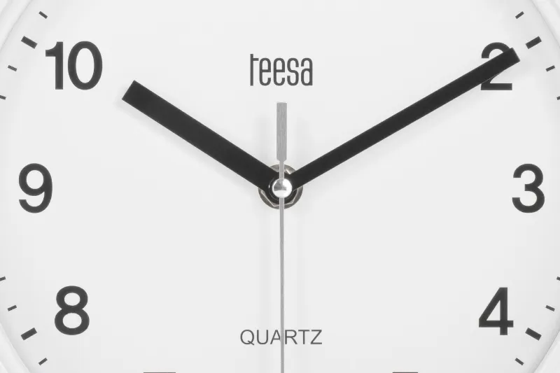 Ceas Perete 20CM Argintiu Teesa