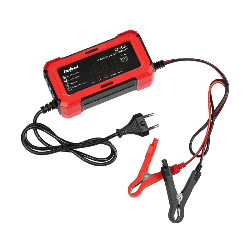 Incarcator universal pentru acumulatori AGM si LiFePO4 2-100 Ah, 12 V 6 A