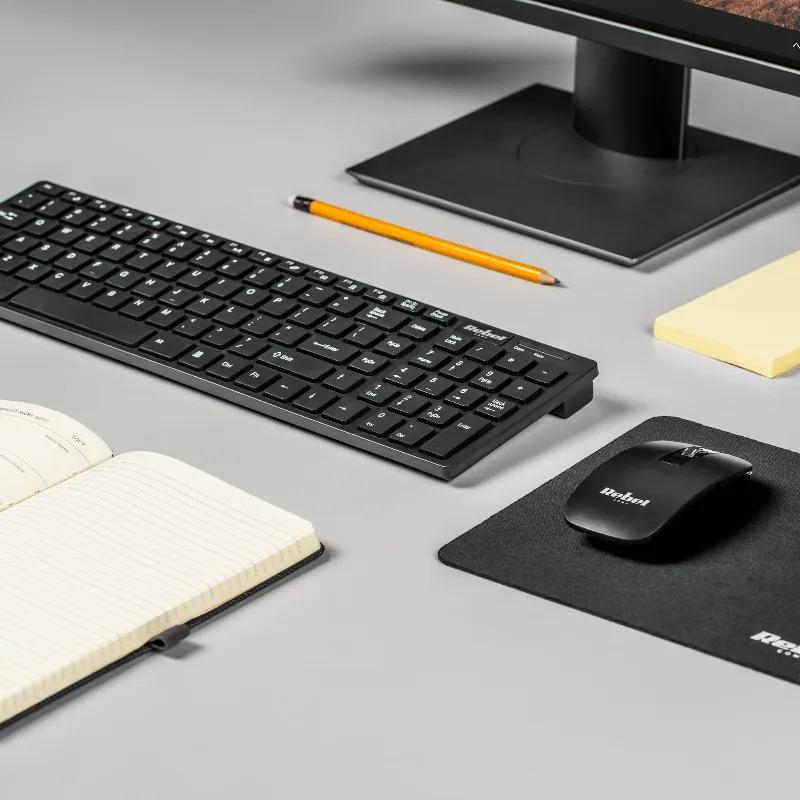 Kit Tastatura si Mouse Wireless  WS300 Rebel