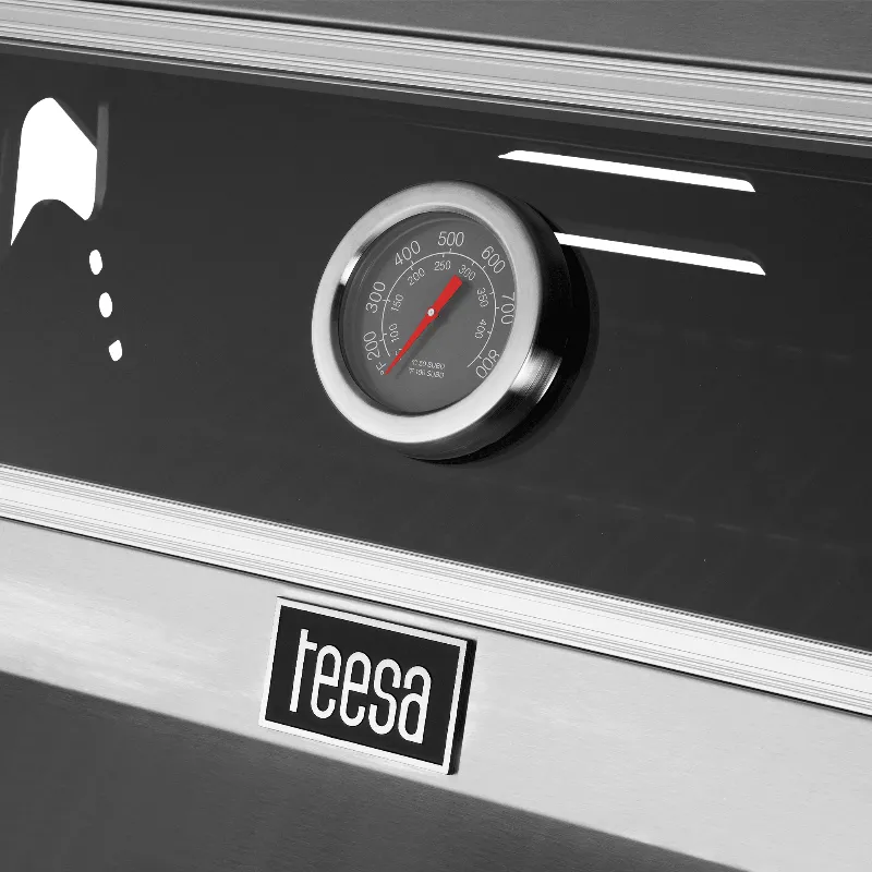 Grill Gaz 5 Arzatoare Bbq 5005 Master Grill Teesa