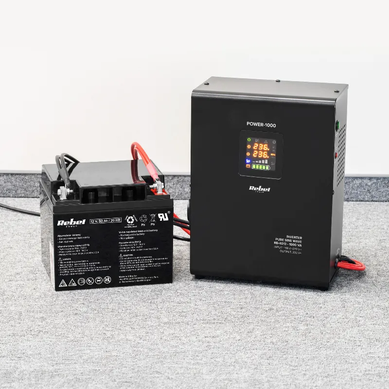 Ups Centrale Sinus Pur 1000VA 700W 12V Rebel