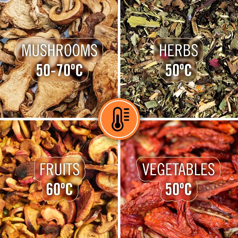 Deshidrator Fructe/Legume/Ciuperci Teesa