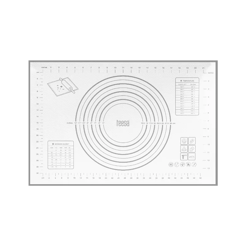 Placa Framantat si Sucitor Silicon Teesa