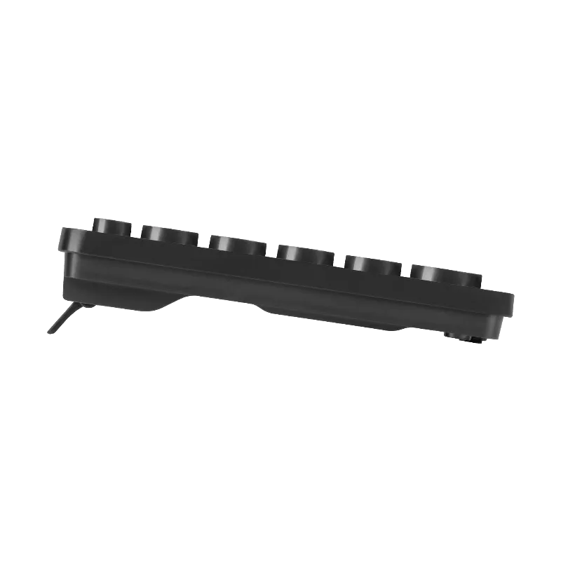 Set tastatura si mouse cu fir Rebel WDS200
