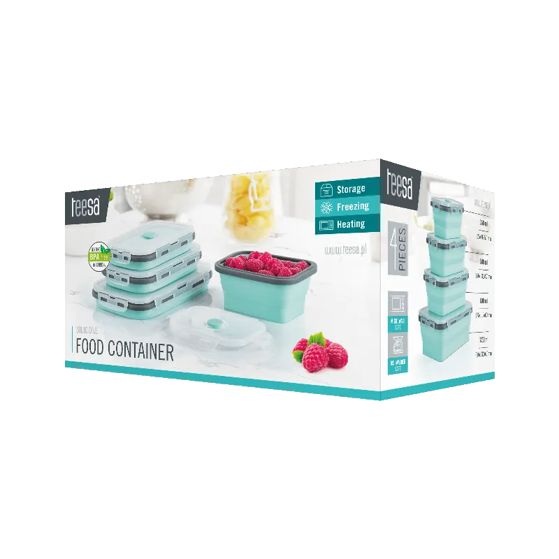 Set 4 Caserole Silicon Dreptunghiulare Teesa