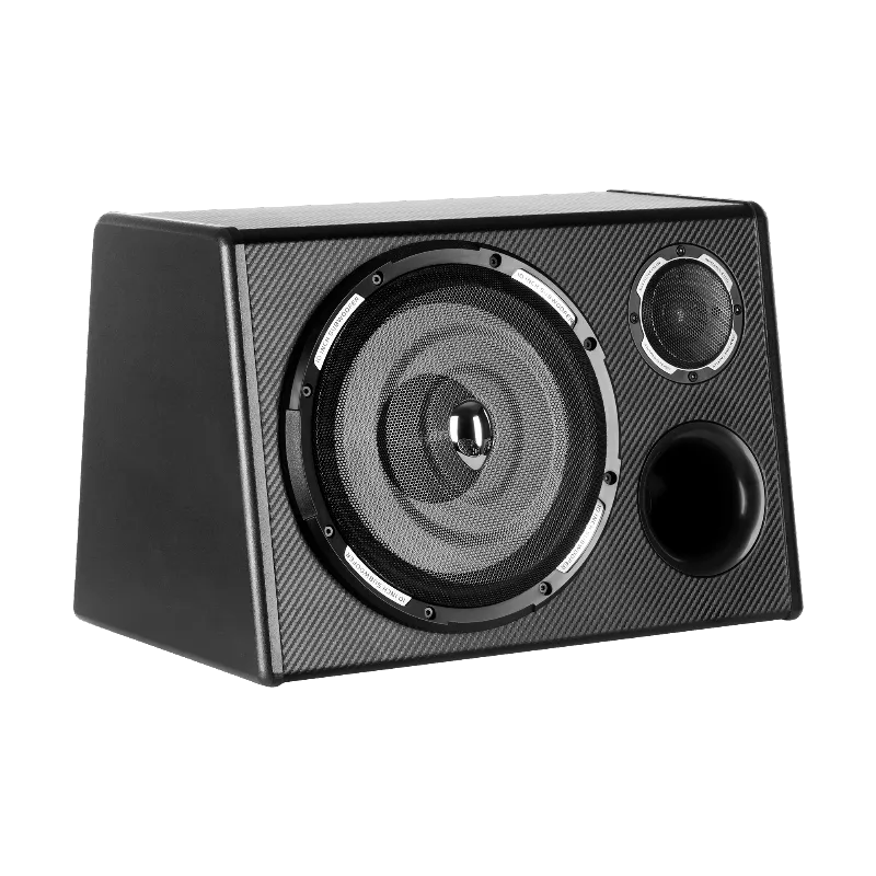 Subwoofer 10 Inch cu Amplificare 200W Max