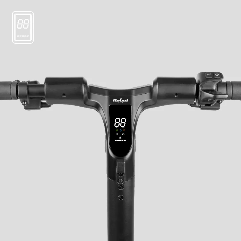 Trotineta electrica Rebel Fast Wheels Pro Max 350W