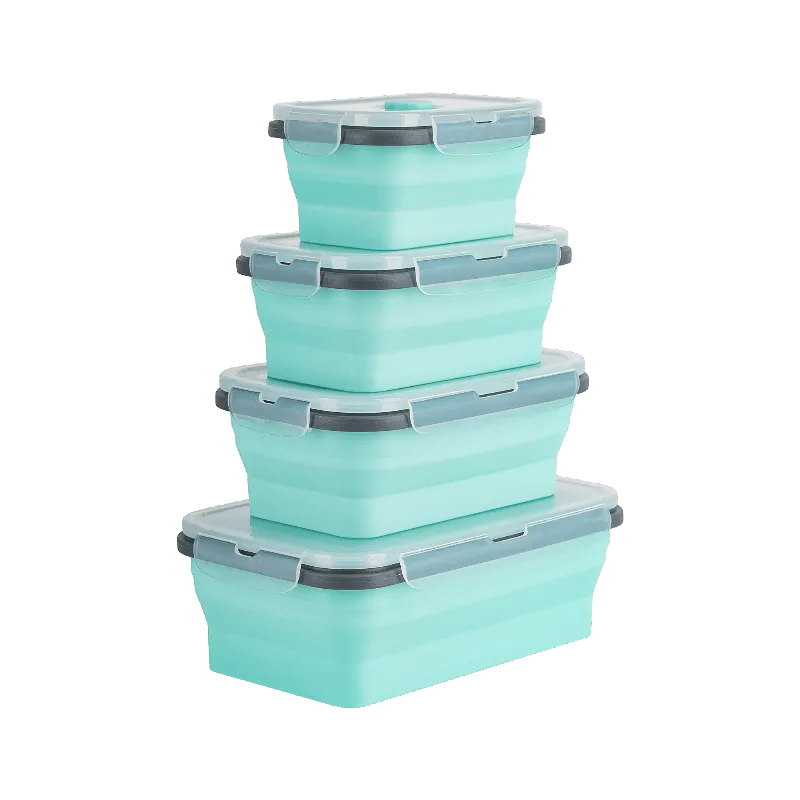 Set 4 Caserole Silicon Dreptunghiulare Teesa