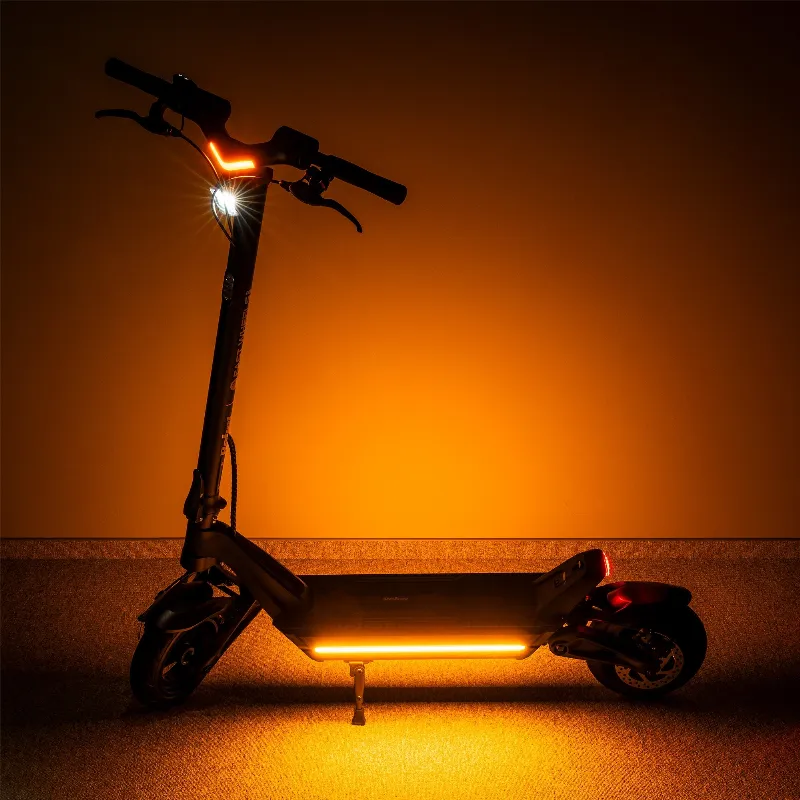 Trotineta electrica Rebel Fast Wheels Pro Max 350W