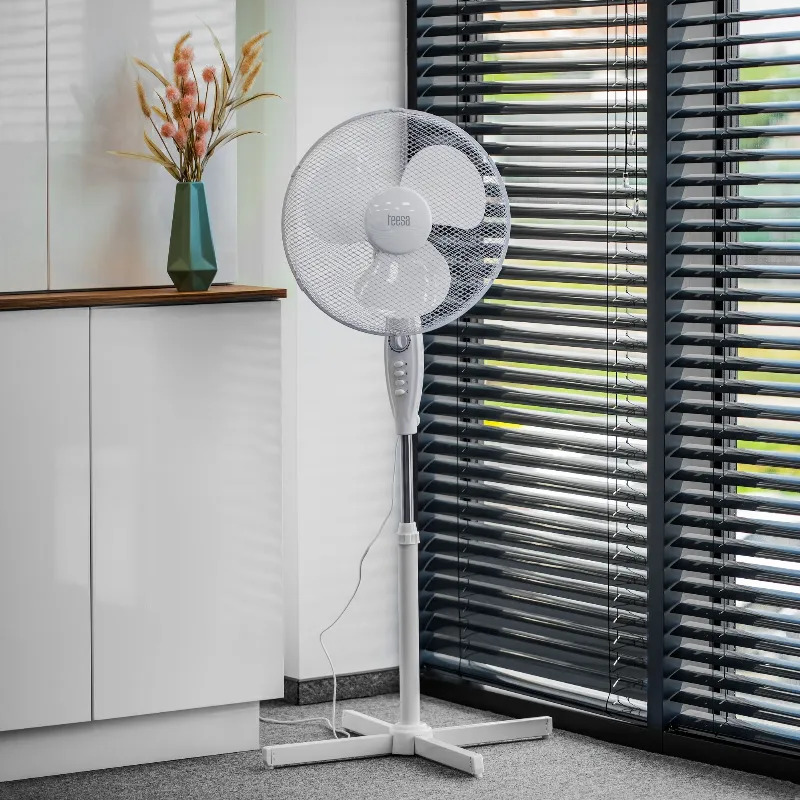 Ventilator Picior cu Timer Teesa